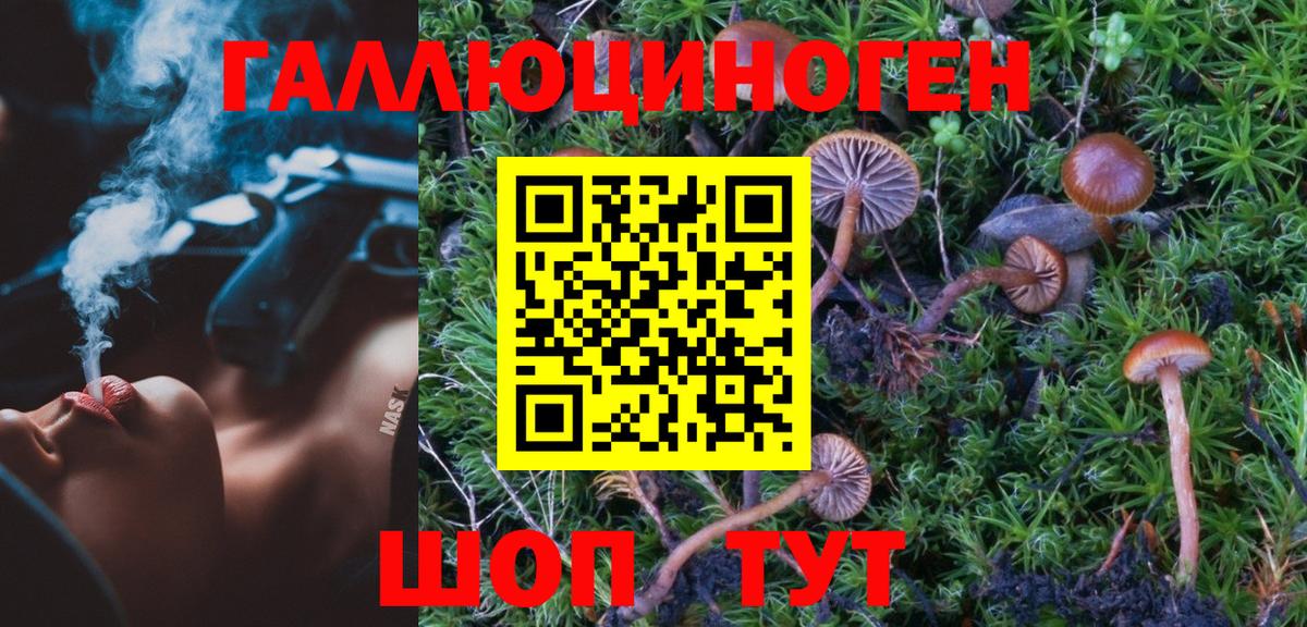 Псилоцибиновые грибы MAGIC MUSHROOMS Сухой Лог